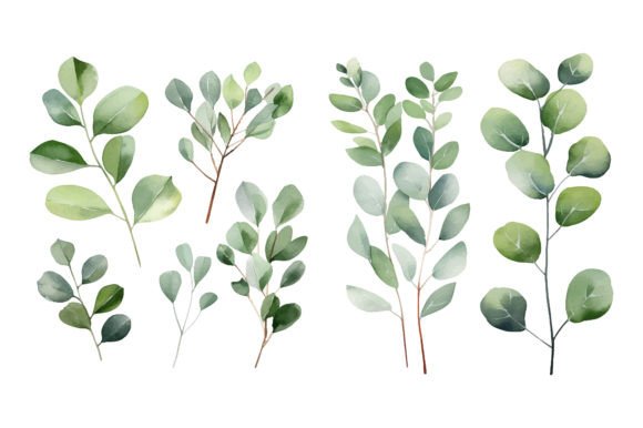 Download Baby Blue Watercolor Eucalyptus Clipart - Baby blue Collection